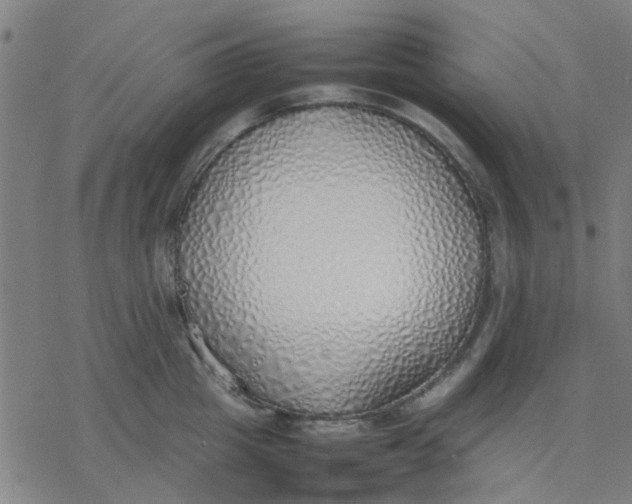 X0000077280857200611101316