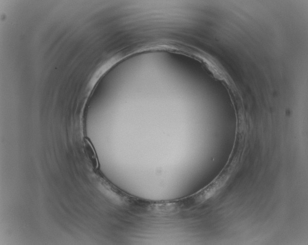 X0000077280858200611101316