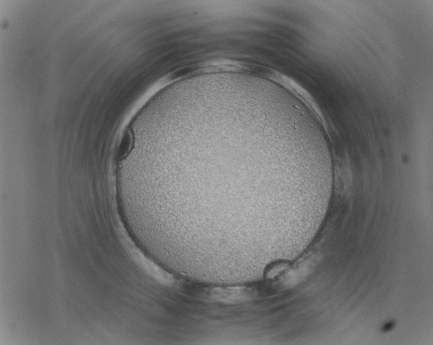 X0000077280859200611101316