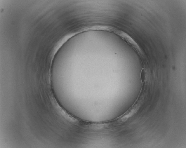 X0000077280860200611101316