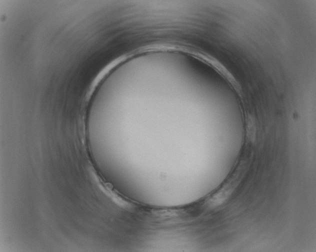 X0000077280862200611101316