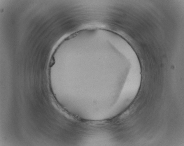 X0000077280864200611101316