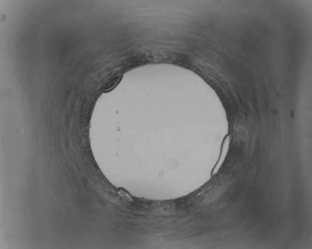 X0000077280865200611101315