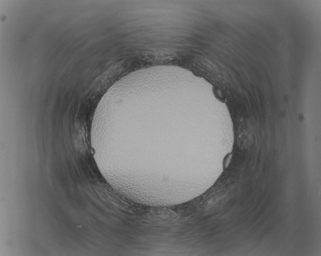 X0000077280866200611101315