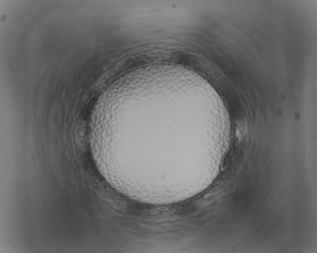 X0000077280867200611101315