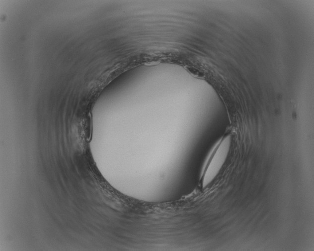 X0000077280868200611101315