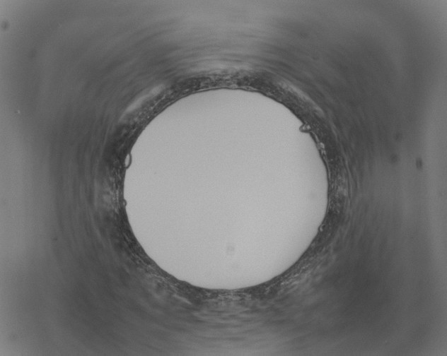 X0000077280869200611101315