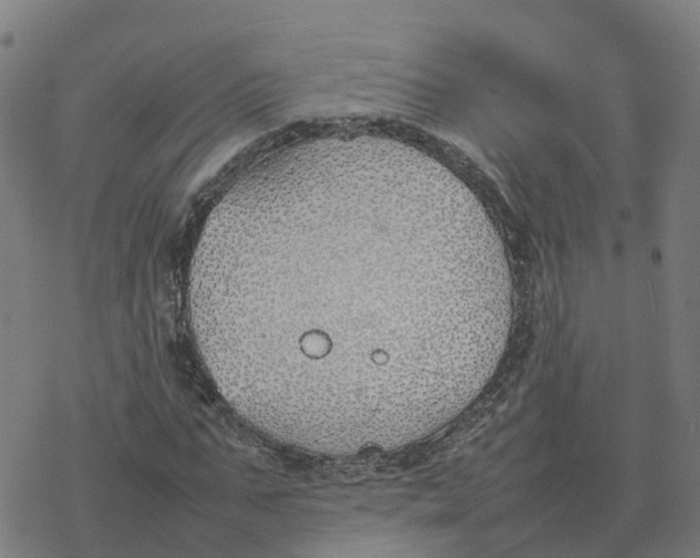 X0000077280871200611101315