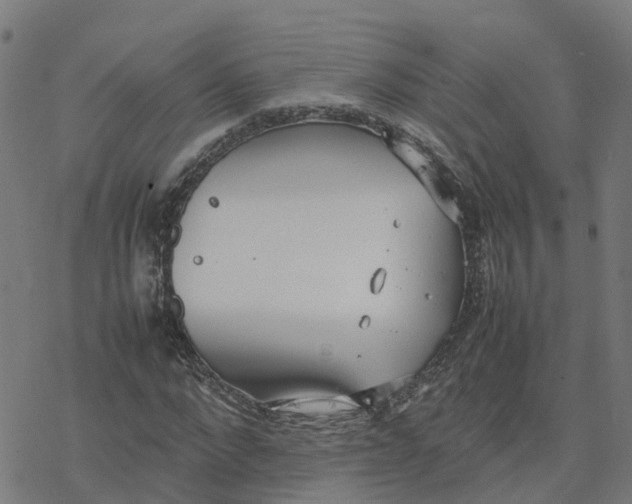 X0000077280872200611101315