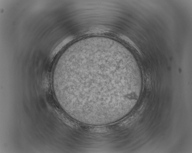 X0000077280874200611101315