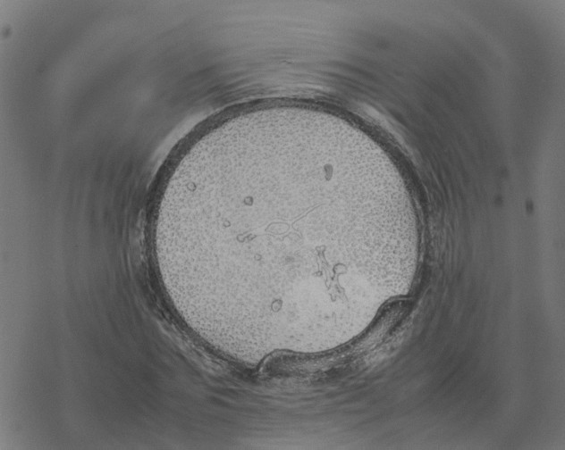 X0000077280875200611101315