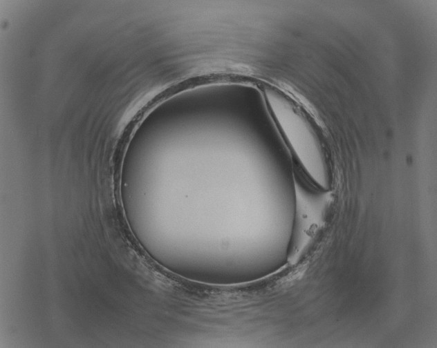 X0000077280877200611101315