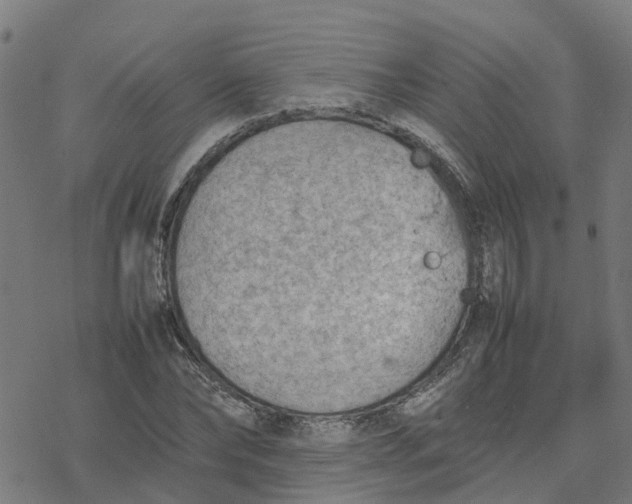 X0000077280878200611101315