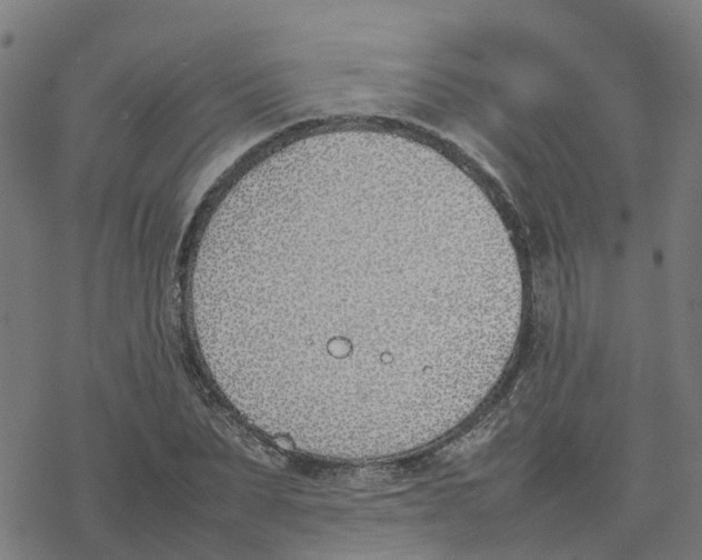 X0000077280879200611101315