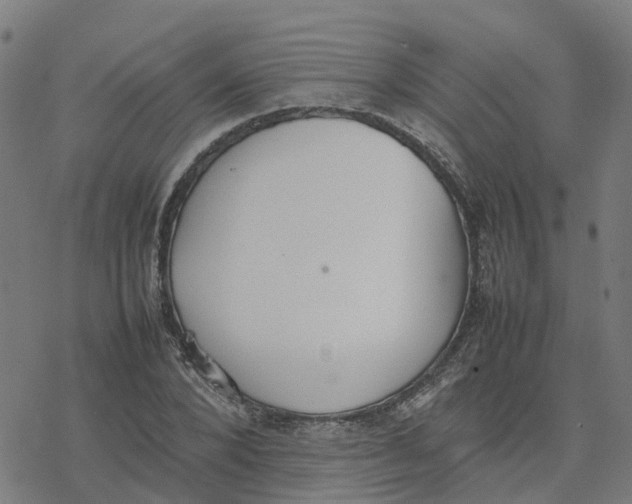 X0000077280880200611101315