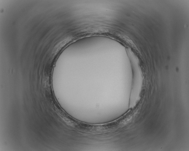 X0000077280881200611101315