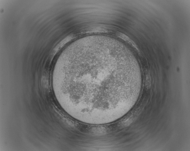 X0000077280882200611101315