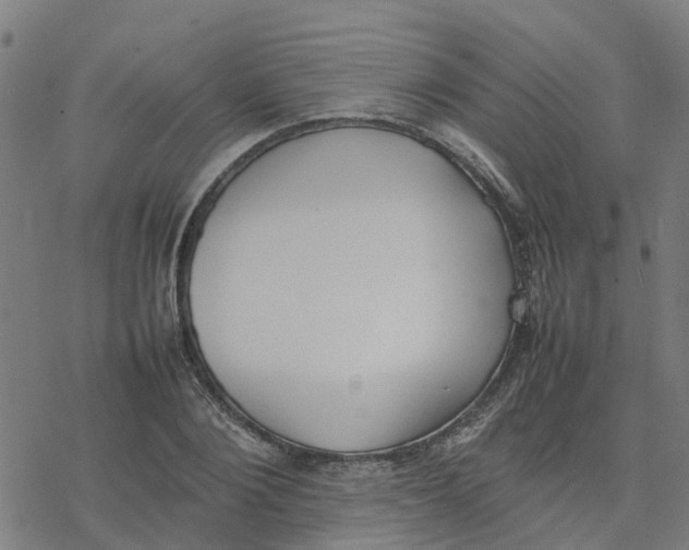 X0000077280884200611101315