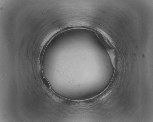 X0000077280885200611101315