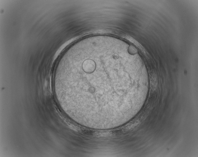 X0000077280886200611101315