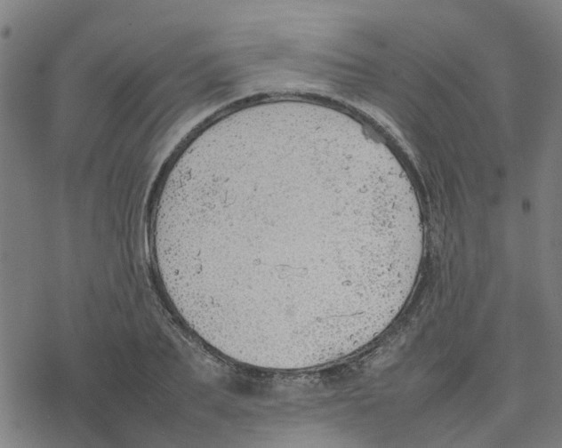 X0000077280887200611101315