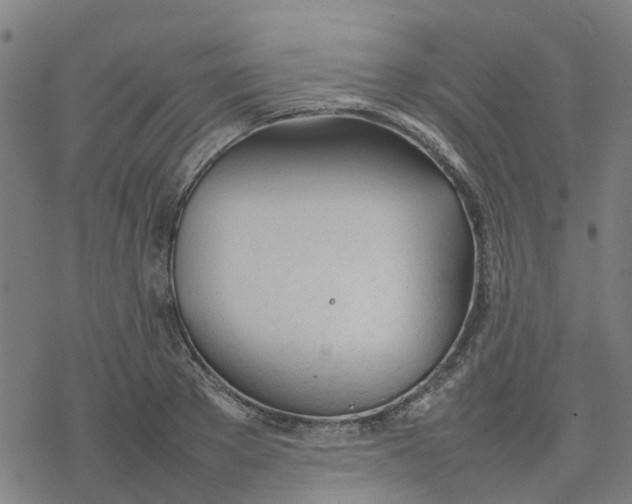 X0000077280889200611101315