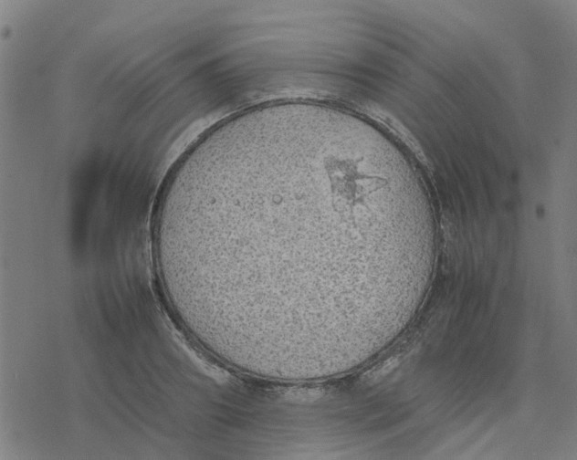 X0000077280890200611101315