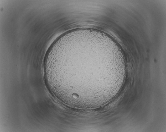 X0000077280891200611101315