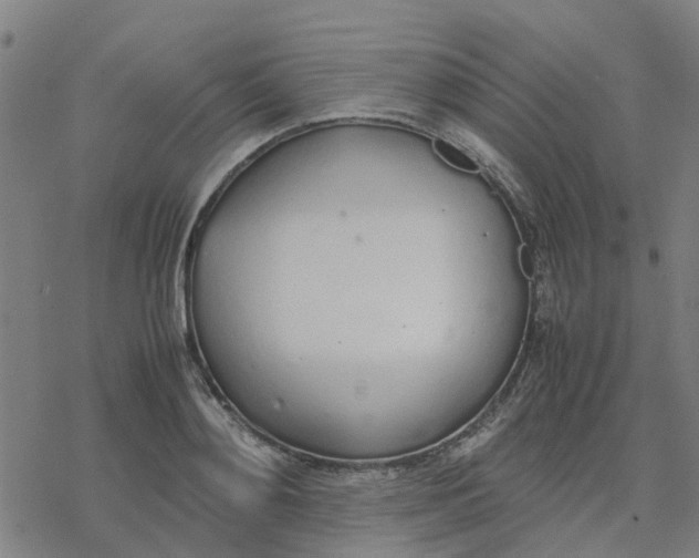 X0000077280892200611101315