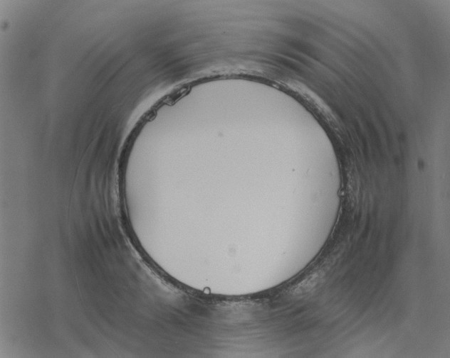 X0000077280894200611101315