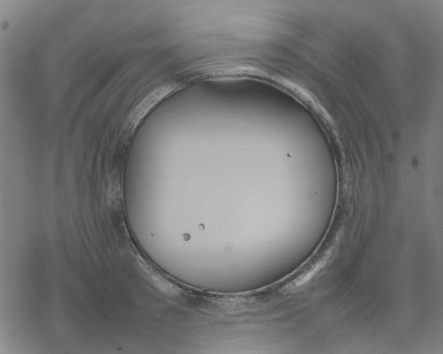 X0000077280897200611101315