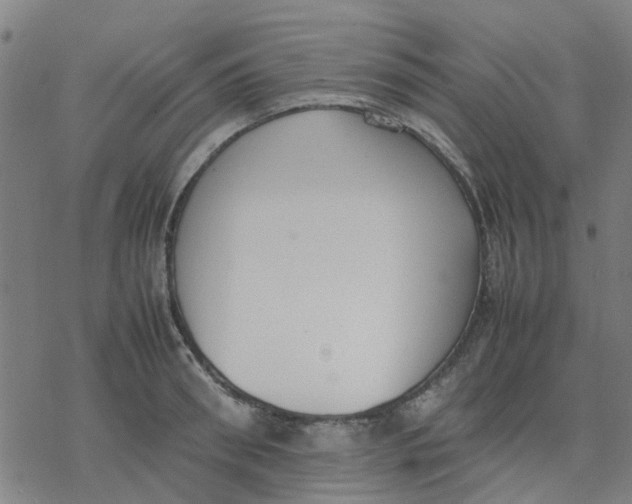 X0000077280898200611101315