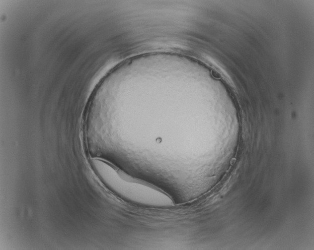 X0000077280899200611101315