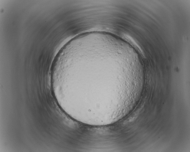 X0000077280900200611101315