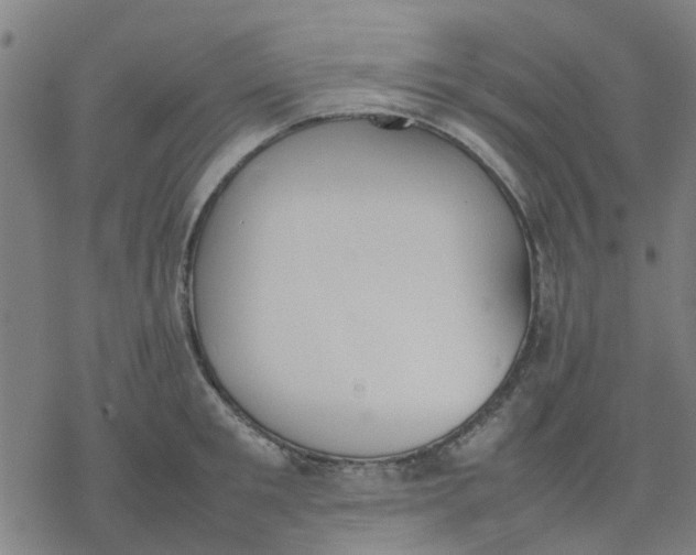 X0000077280901200611101315