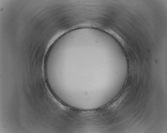 X0000077280902200611101315