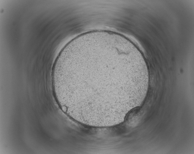 X0000077280903200611101315