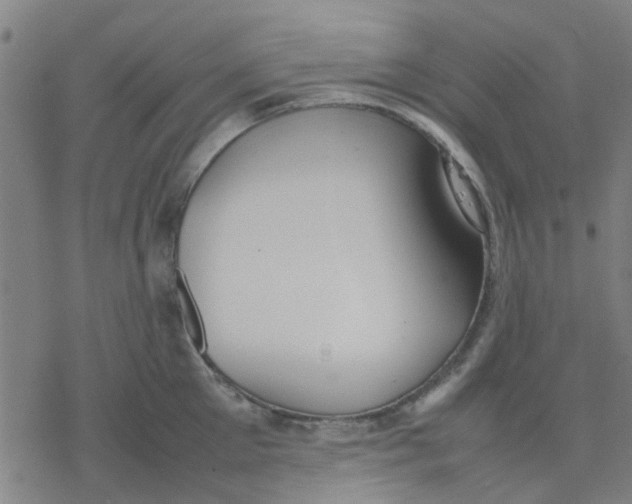 X0000077280905200611101315