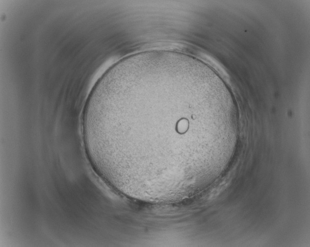 X0000077280907200611101315