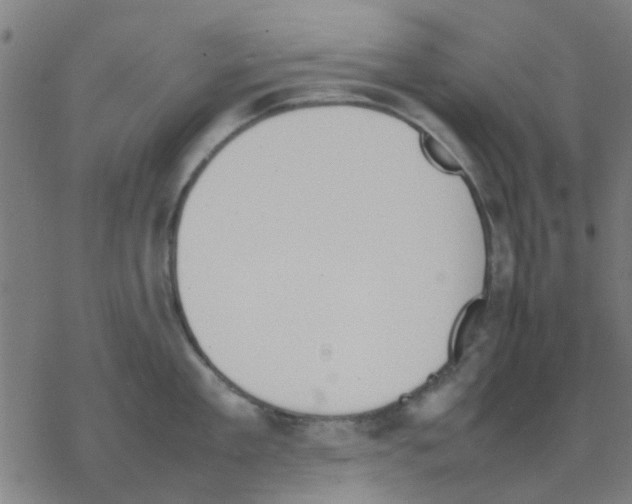 X0000077280909200611101315