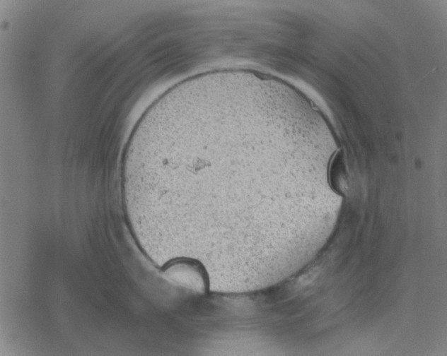 X0000077280911200611101315