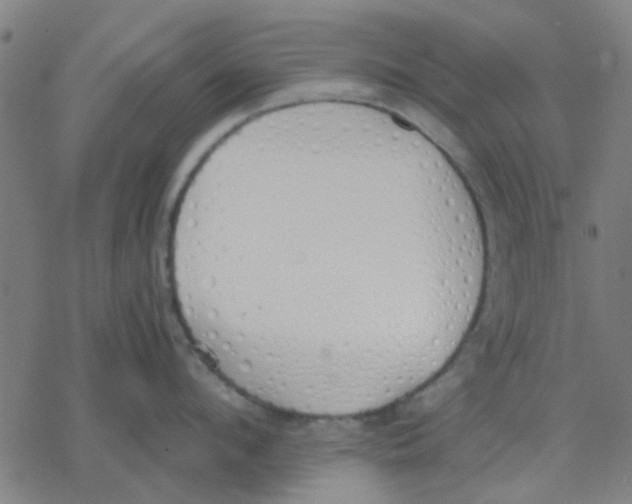 X0000077280912200611101315