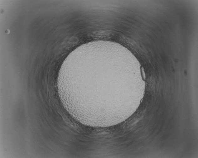 X0000077280913200611101314