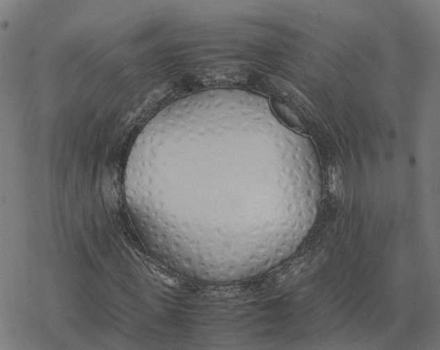 X0000077280915200611101314