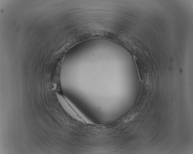 X0000077280916200611101314