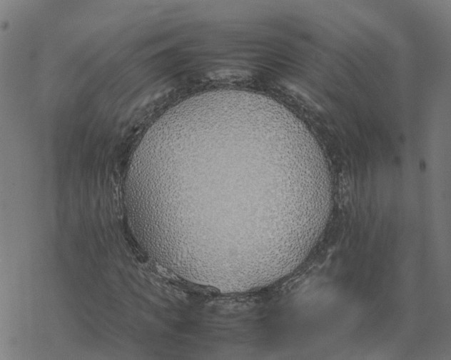 X0000077280917200611101314