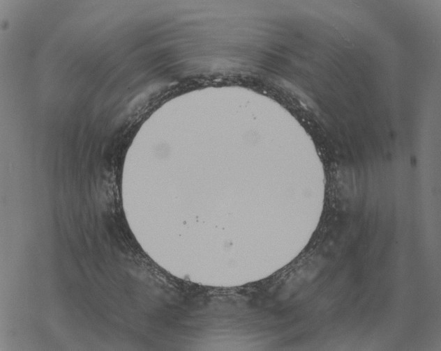 X0000077280918200611101314