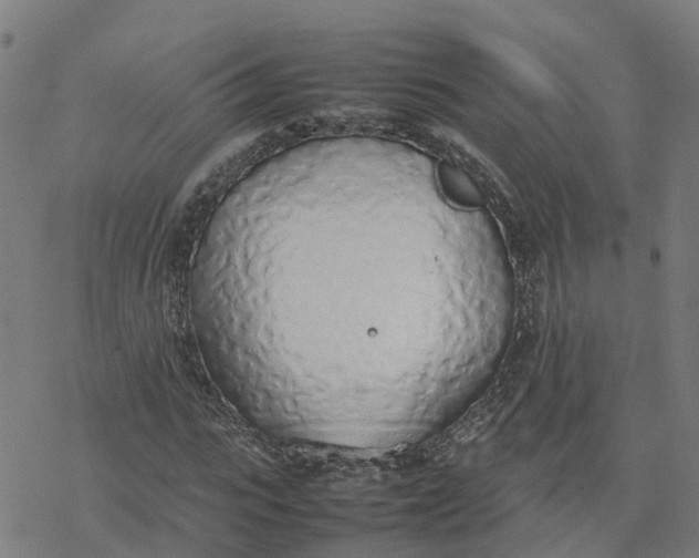 X0000077280919200611101314