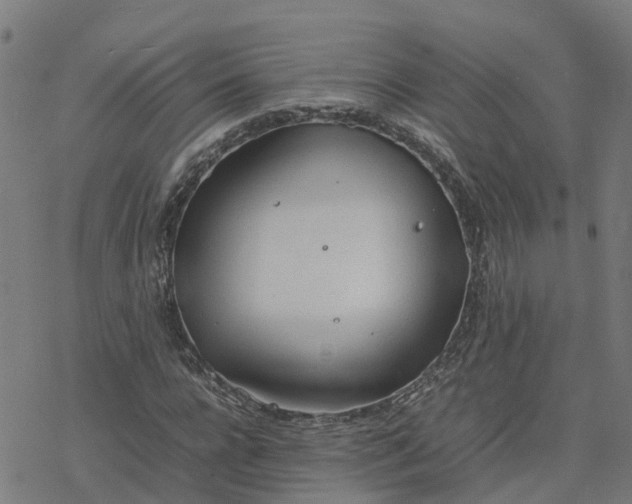 X0000077280920200611101314