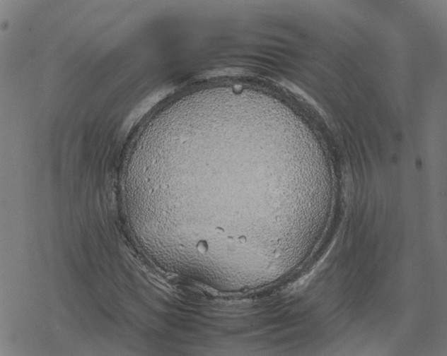 X0000077280921200611101314